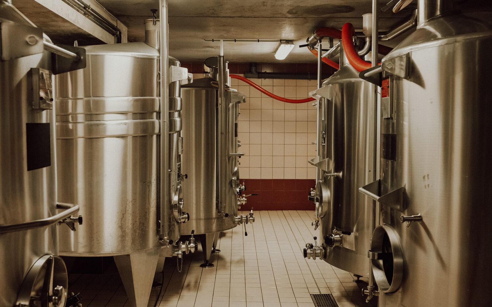 Cuverie en Champagne